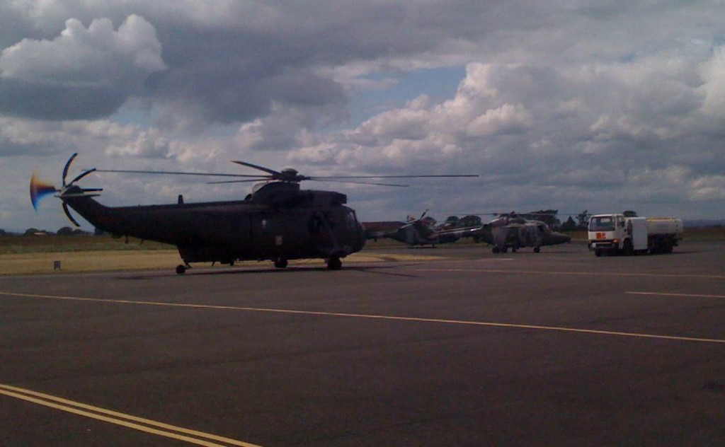 lynxseaking