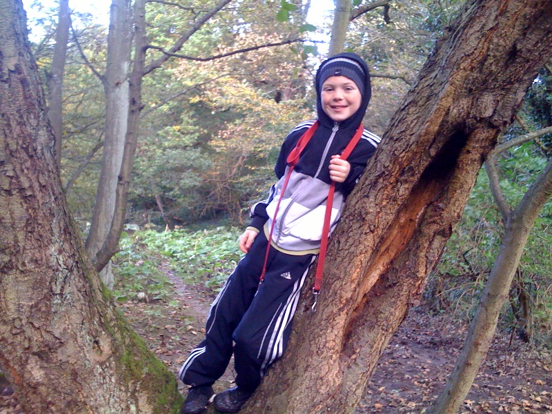 ethantree